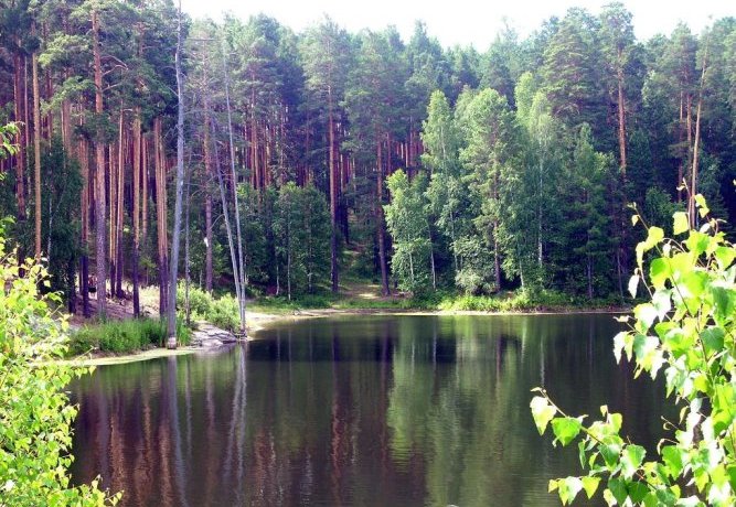 Гостиница Pansionat Karagayskiy Bor Карагайский