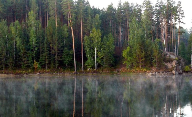 Гостиница Pansionat Karagayskiy Bor Карагайский