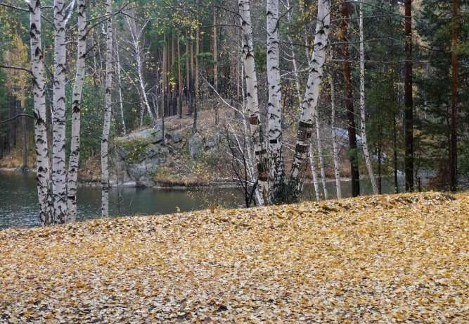 Гостиница Pansionat Karagayskiy Bor Карагайский